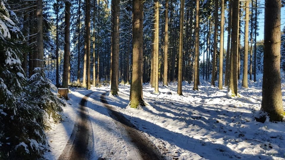 Singles aus Lohfelden