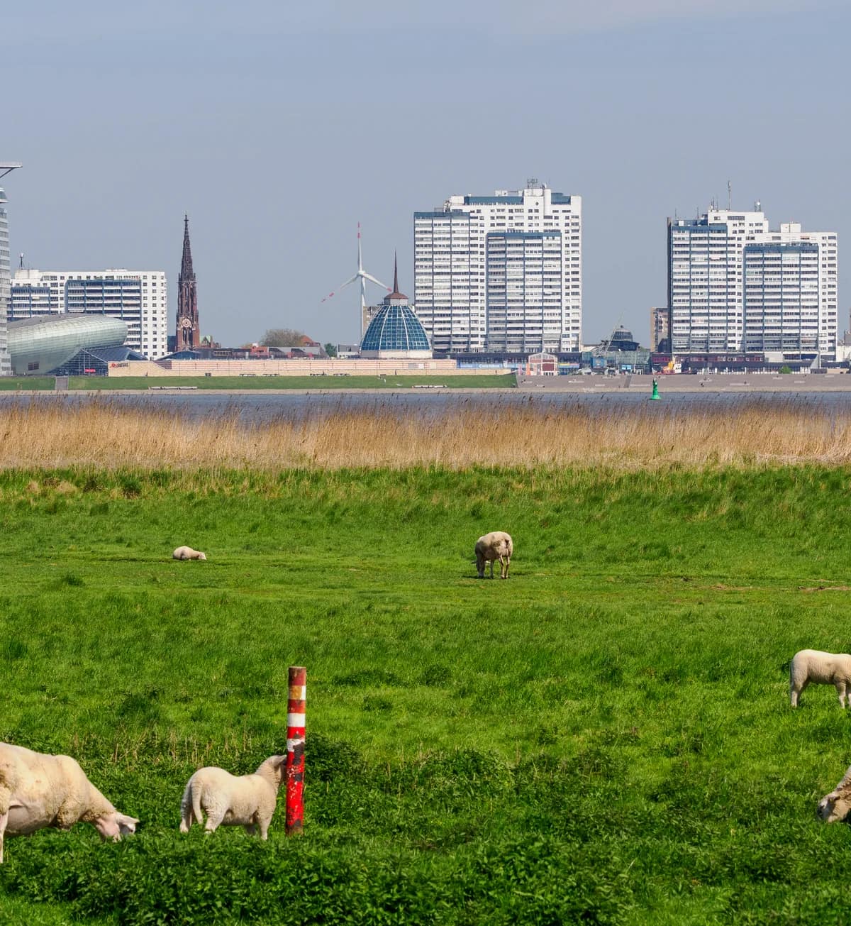 Blick von Nordenham-Blexen über die Weser auf Bremerhaven