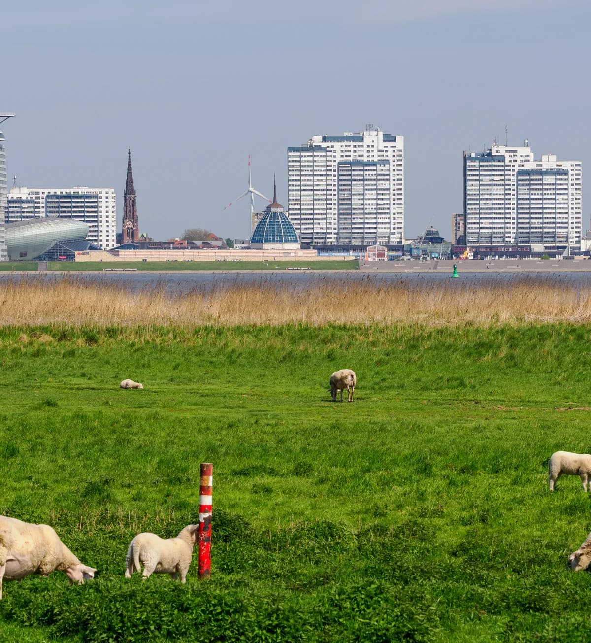 Blick von Nordenham-Blexen über die Weser auf Bremerhaven