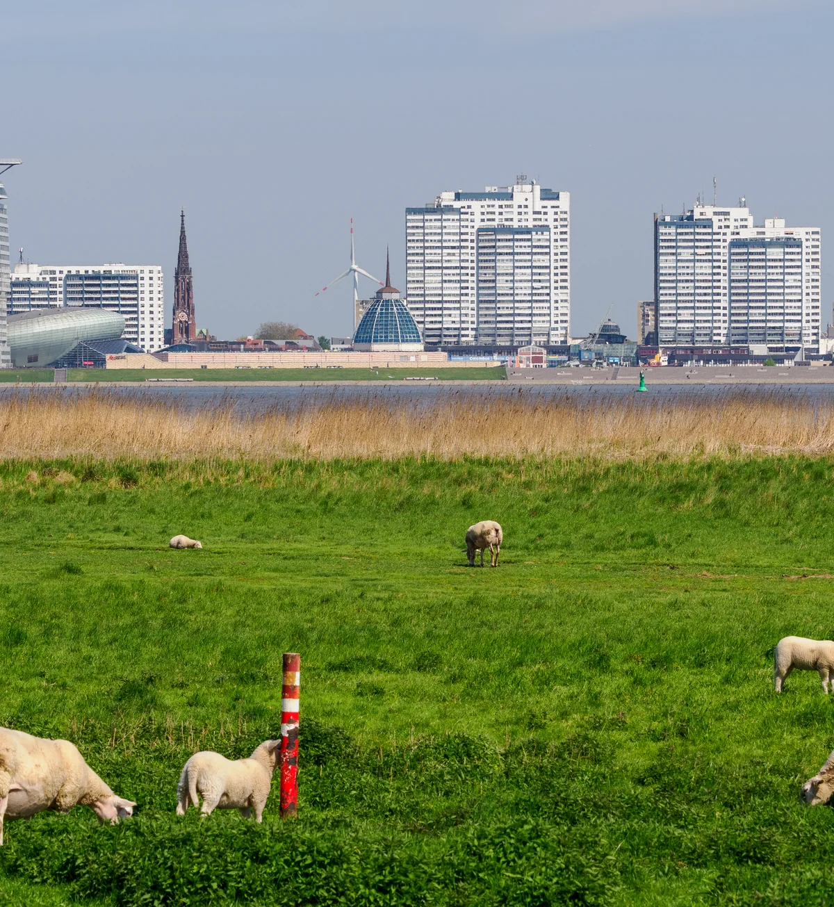 Blick von Nordenham-Blexen über die Weser auf Bremerhaven